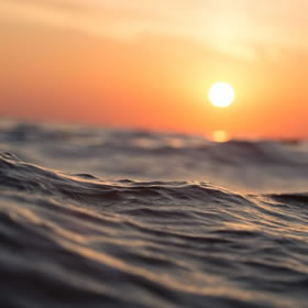 二手酒店服务礼仪（第二版），实用价值与使用指南